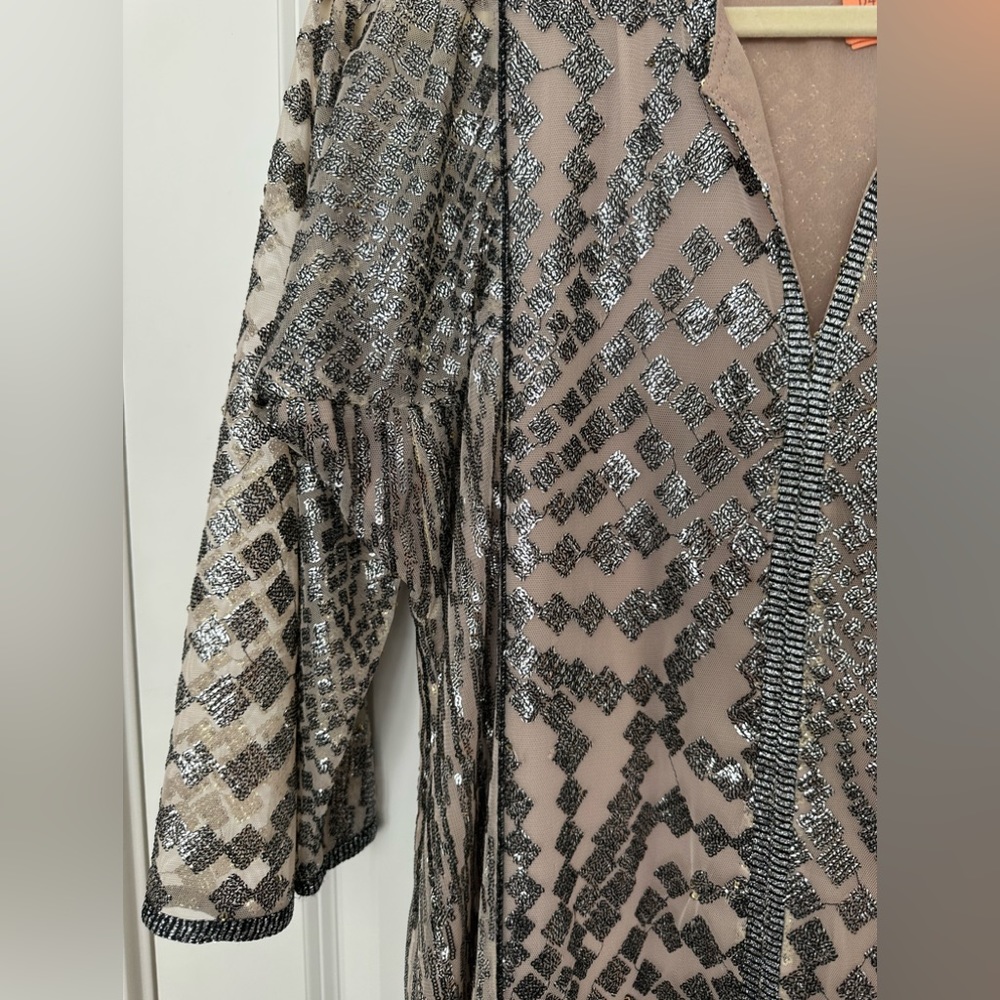 Anna Sui for Free People silver maxi gown - Picture 7 of 10